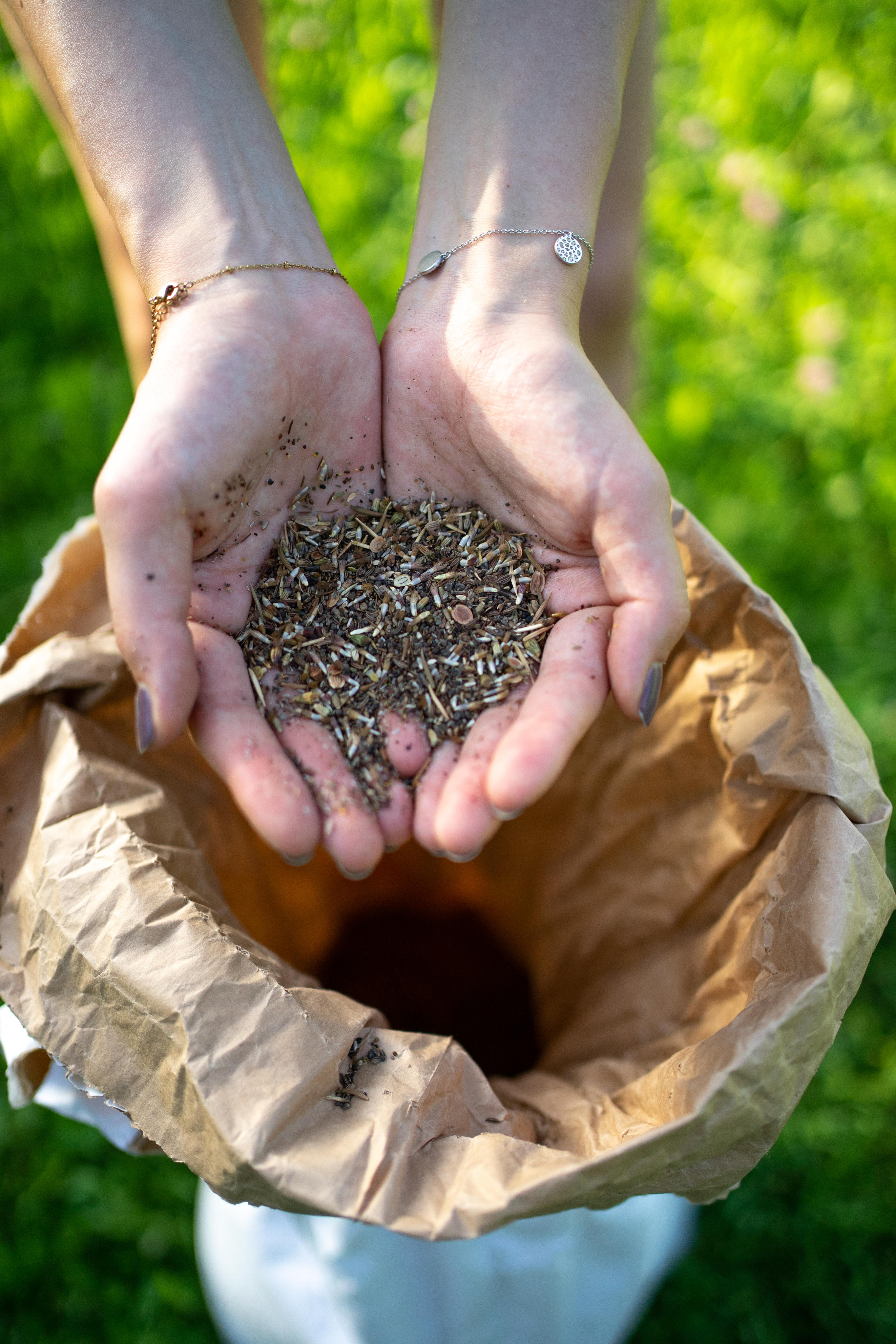 Saatgut in offenen Händen