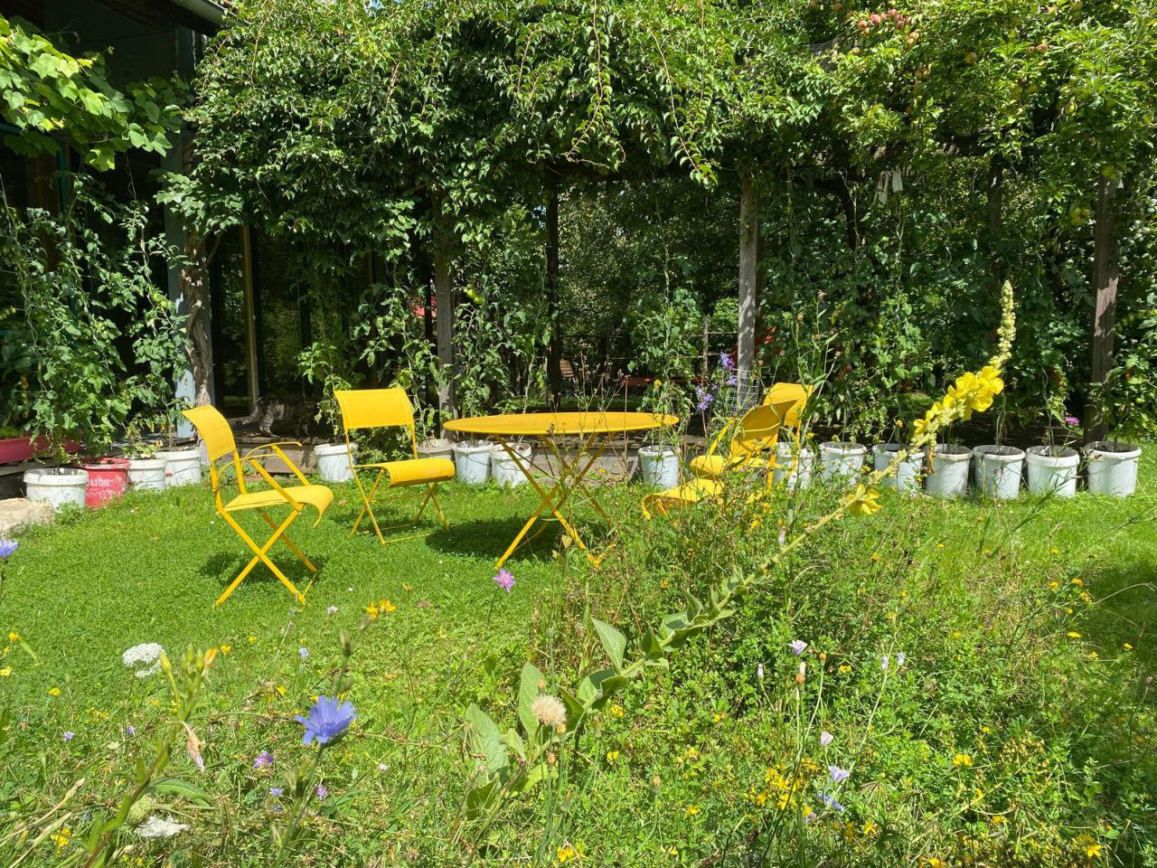 Blühwiesen im eigenen Garten