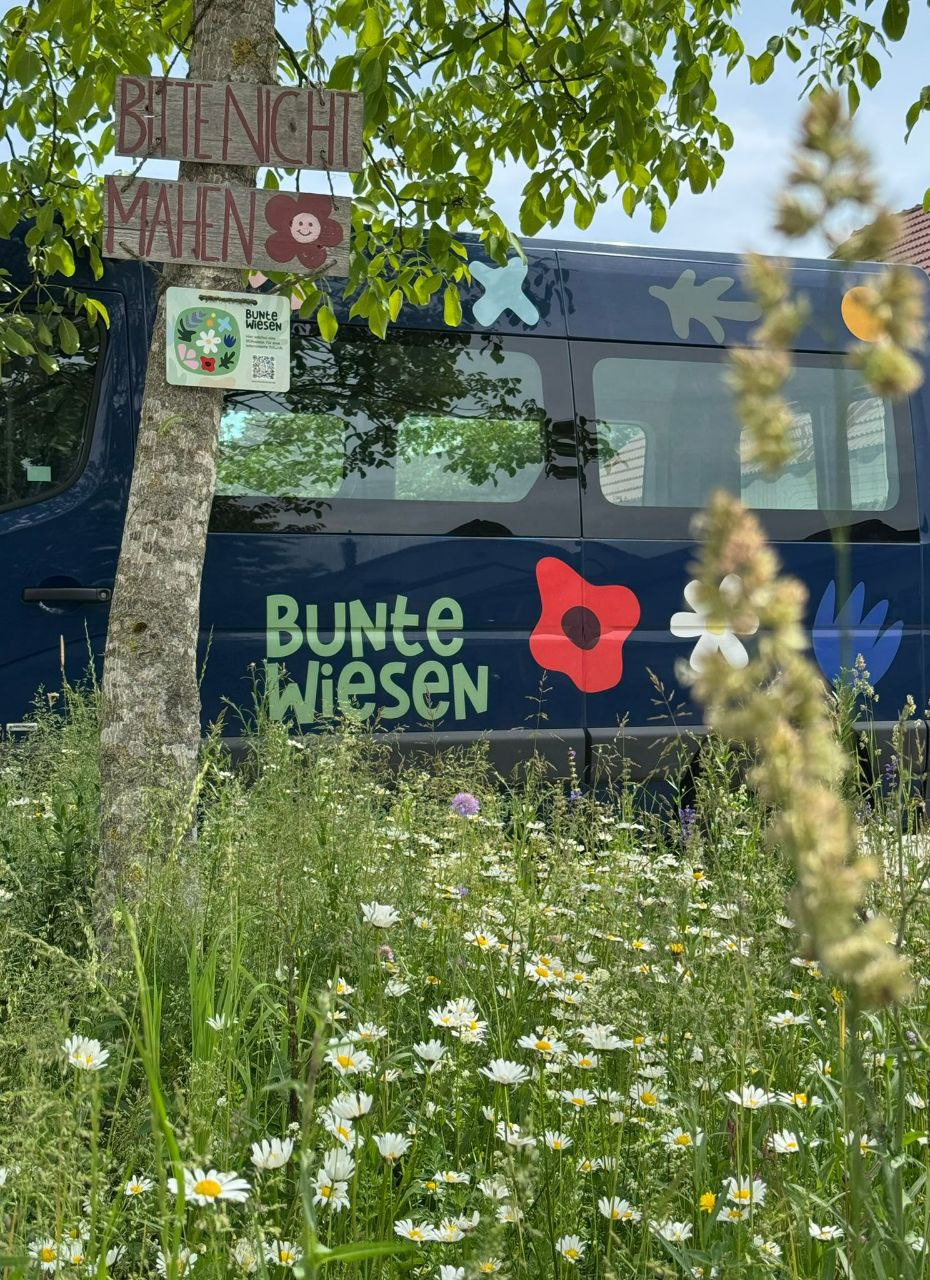 Blühflächen im Straßen-begleitgrün: Wendekreisel in Velden (Vils)